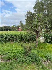 Bild 7. Hus/villa, Skärfsta Gård, Södertälje 