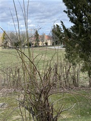 Bild 4. Hus/villa, Skärfsta Gård, Södertälje 