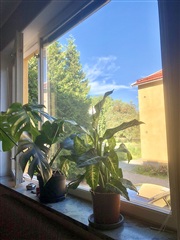 Photo 10. Apartment, Ursviksvägen, Sundbyberg 