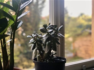 Photo 15. Apartment, Ursviksvägen, Sundbyberg 
