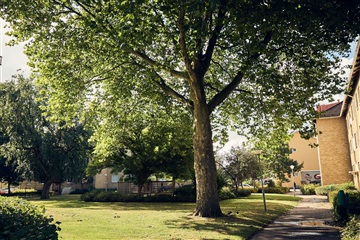 Photo 1. Apartment, Eklundagatan, Ängelholm 