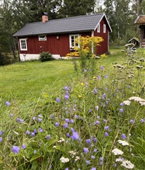 Photo 1. Holiday property, Malmvägen, Holsbybrunn 