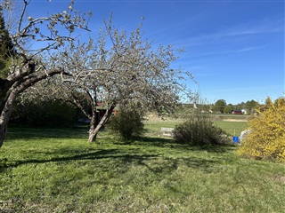 Photo 2. House, , Bettna 