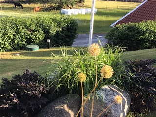 Photo 4. House, Mörbytorpsvägen, Vallentuna 