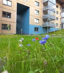 Bild 1. Lägenhet, Sörsjövägen, Taberg 