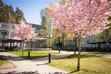 Photo 1. Apartment, Oddergatan, Katrineholm 