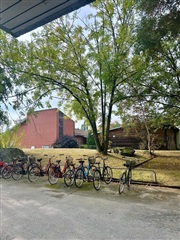 Bild 2. Lägenhet, liegatan, Västerås 