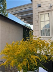 Photo 21. House, Vagnmansgatan, Landskrona 