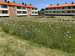 Bild 1. Lägenhet, Herrestadsvägen, Hammenhög 