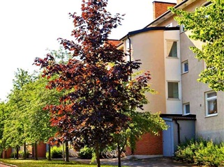 Bild 3. Lägenhet, Åbylundsgatan, Linköping 