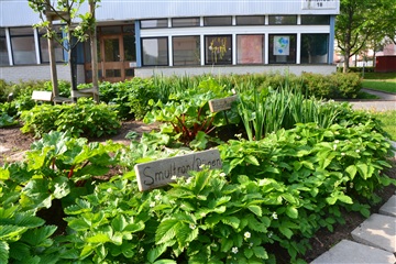 Bild 1. Lägenhet, Tornfalksgatan, Jönköping 