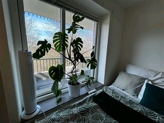 Bild 4. Lägenhet, Övre Hägnavägen, Hovås 