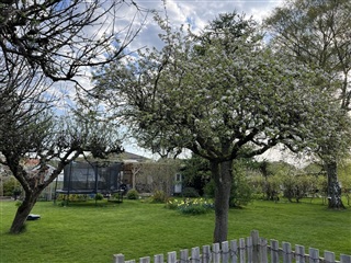 Bild 36. Hus/villa, österängsgatan, Mölndal 