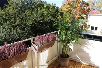 Bild 7. Hus/villa, Kungsvägen, Sollentuna 