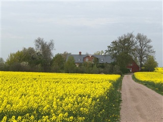 Photo 1. Apartment, Åkarp, Marieholm 