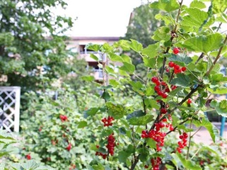 Bild 4. Lägenhet, Hjälmsätersgatan, Linköping 