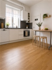 Photo 1. Apartment, Järnvägsgatan, Landskrona 