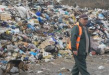 Росприроднадзор обнаружил в Сочи незаконную свалку