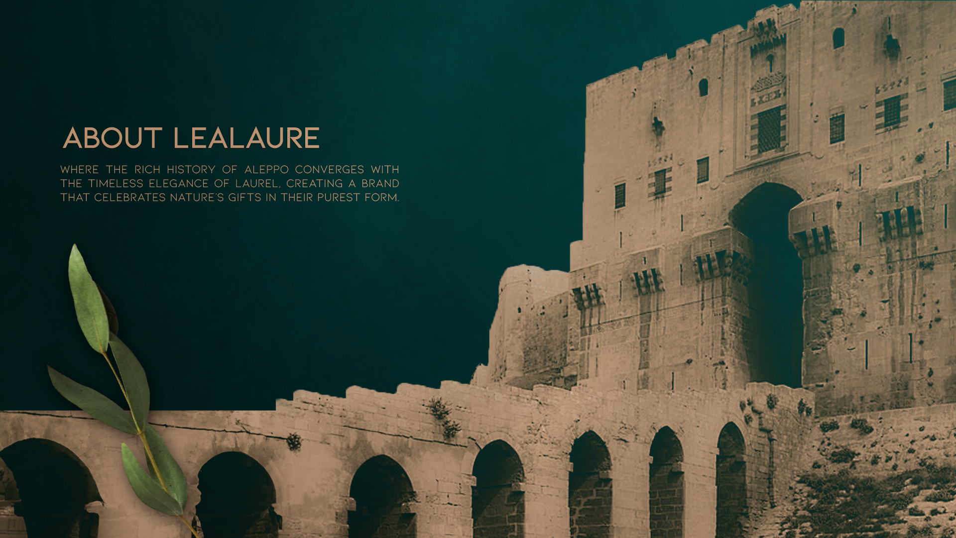 Album: Lealaure Photo: Lea 2