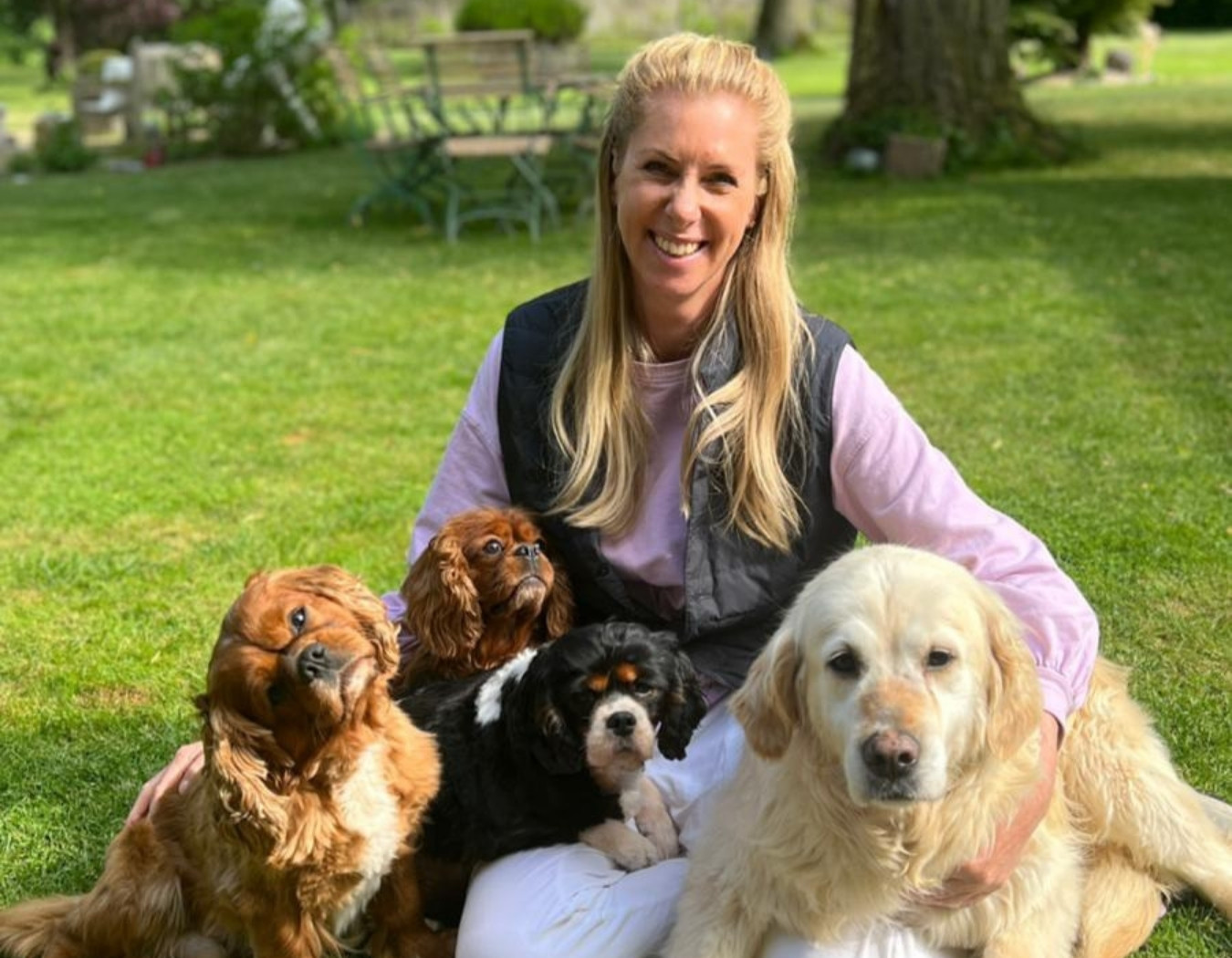 Ein neues Leben für Vermehrerhunde