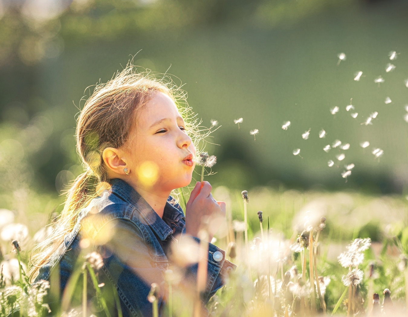 Gedenkwand "Blumenwiese"