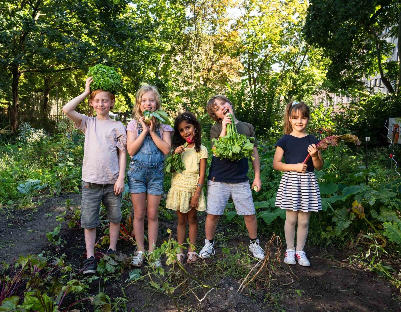 GemüseAckerdemie für gesunde Ernährung und Naturerfahrung