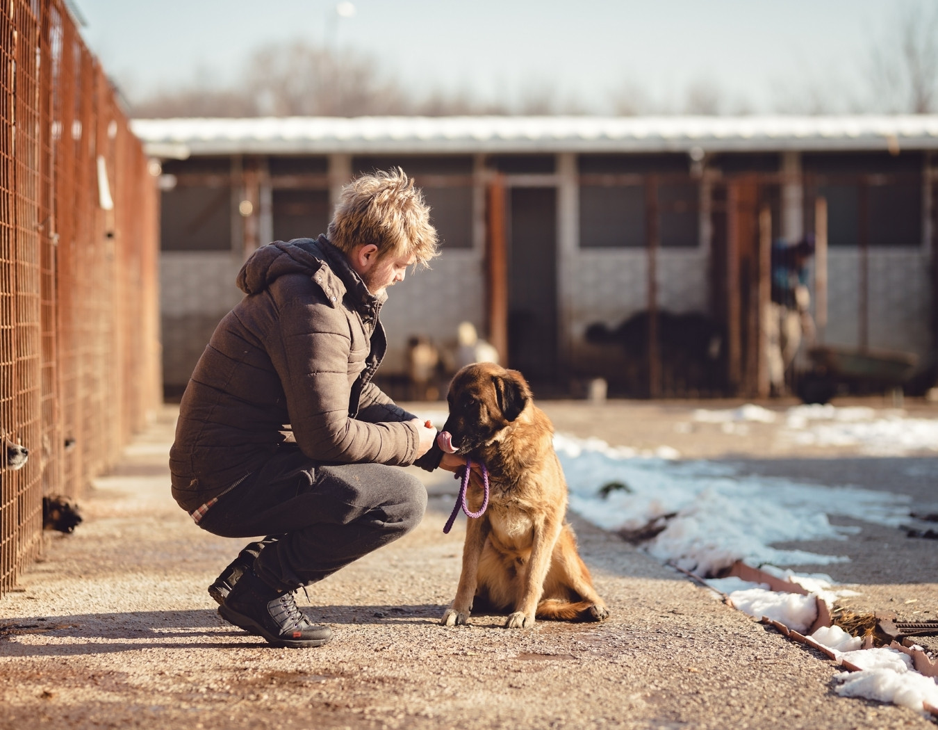 Hilfe für sozial schwache Menschen und ihre Tiere