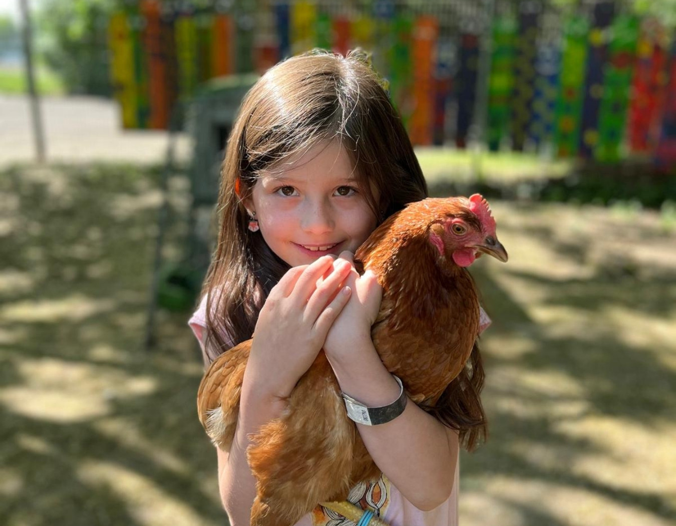 Hühner am Krausen Bäumchen