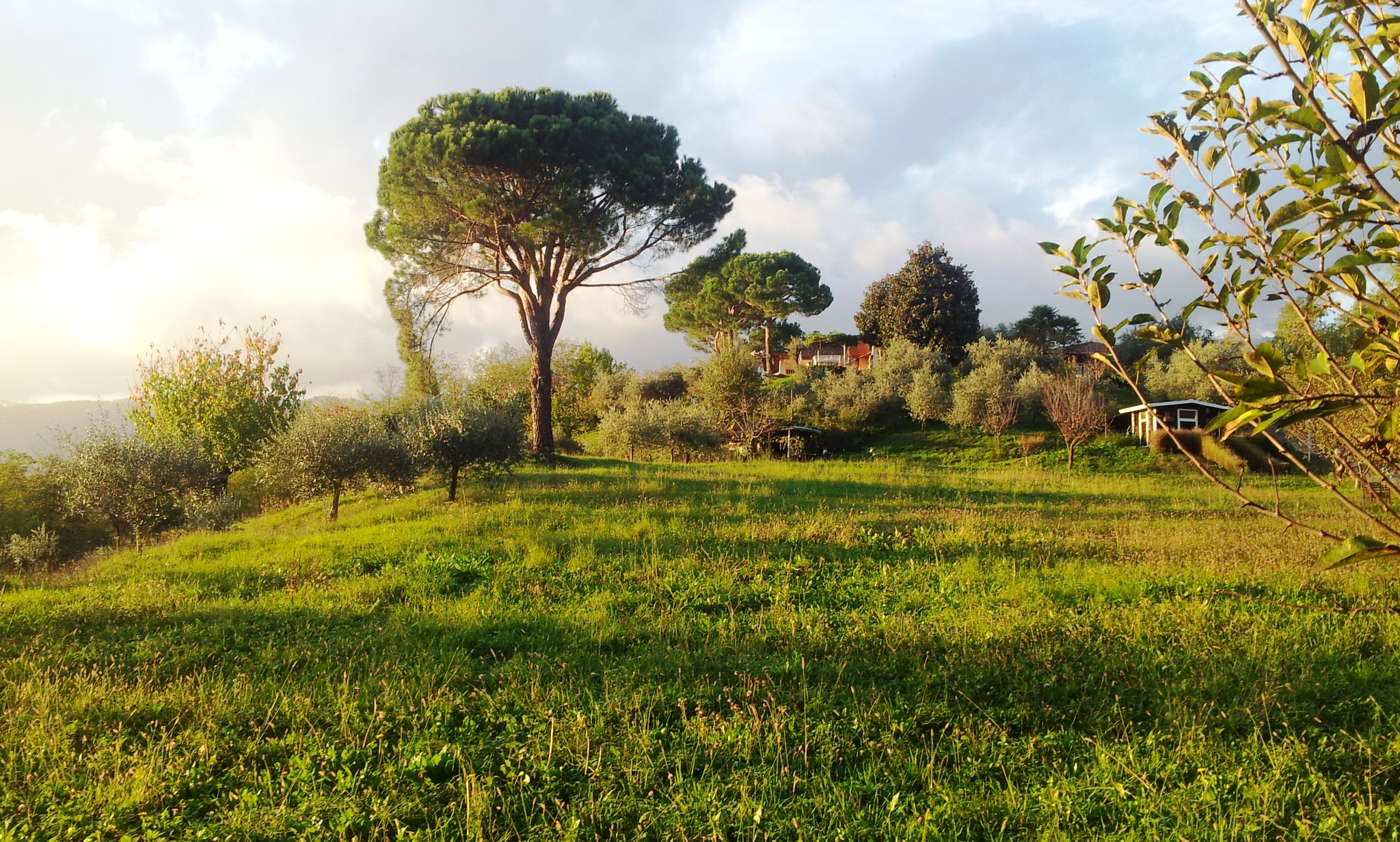 IMPORTANTE VILLA IN ZONA COLLINARE, IN VENDITA NELLE COLLINE LIMITROFE AL BASSANESE - Foto 0 di 6 IMPORTANTE VILLA IN ZONA COLLINARE, IN VENDITA NELLE COLLINE LIMITROFE AL BASSANESE - Foto 0 di 6