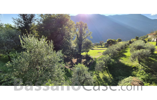 TERRENO AGRICOLO IN VENDITA A SOLAGNA - Foto 1 di 4