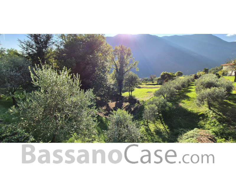 TERRENO AGRICOLO IN VENDITA A SOLAGNA - Foto 1 di 4