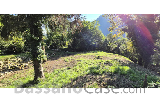 TERRENO AGRICOLO IN VENDITA A SOLAGNA - Foto 2 di 4