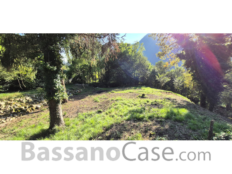 TERRENO AGRICOLO IN VENDITA A SOLAGNA - Foto 2 di 4