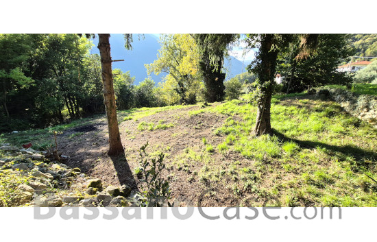 TERRENO AGRICOLO IN VENDITA A SOLAGNA - Foto 3 di 4