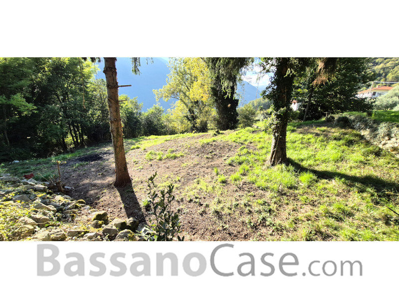 TERRENO AGRICOLO IN VENDITA A SOLAGNA - Foto 3 di 4