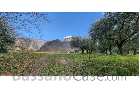 TERRENO AGRICOLO PIANTUMATO AD ULIVI - Foto 2 di 3