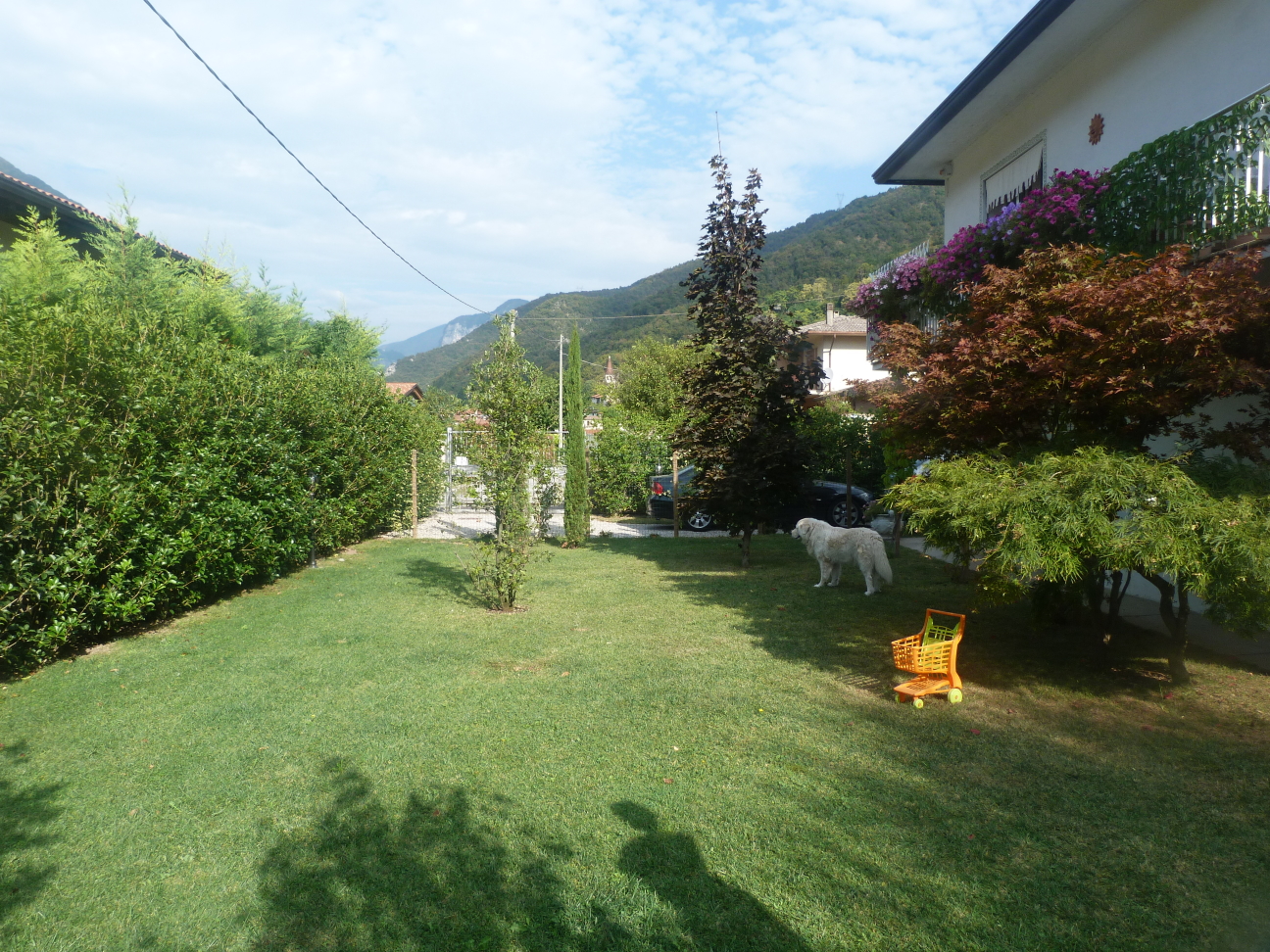 VILLETTA SINGOLA IN VENDITA IN VALLATA VICINO A BASSANO DEL GRAPPA - Foto 0 di 23 VILLETTA SINGOLA IN VENDITA IN VALLATA VICINO A BASSANO DEL GRAPPA - Foto 0 di 23