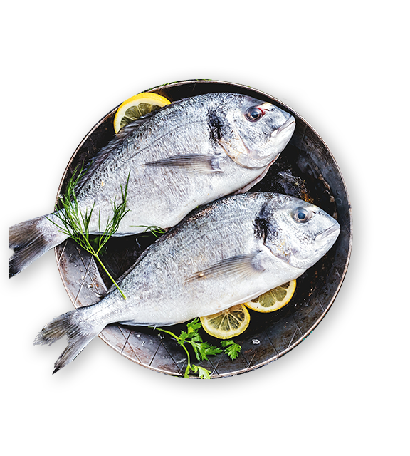 אנחנו לא מוצאים את העמוד שחיפשתם