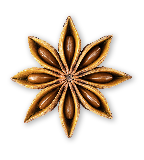 אנחנו לא מוצאים את העמוד שחיפשתם