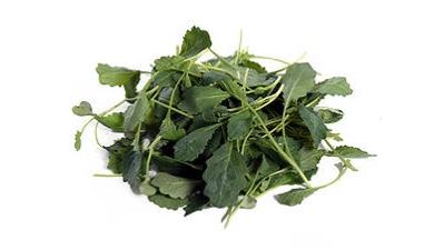 נבטים קייל, אורגני