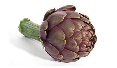 ארטישוק אדום, פרימיום