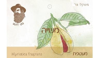 משייה מעטפת
תבליני גוט, אורגני