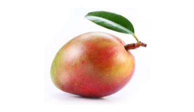 מנגו מאיה, פרימיום