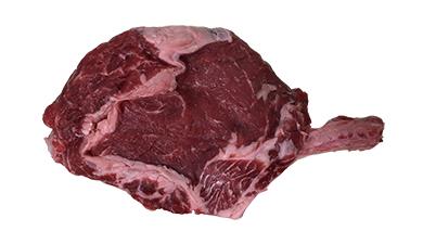 אנטריקוט טומהוק, אנגוס