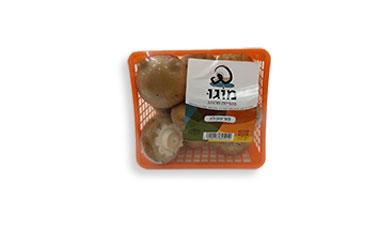 פטריות פורטבלה
מוגו, פרימיום