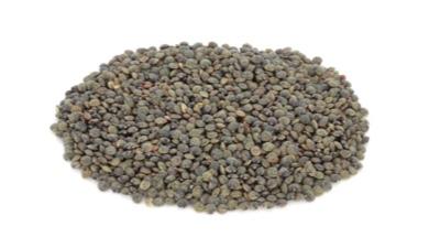 עדשים שחורות 
