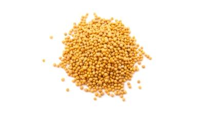 חרדל גרגירים