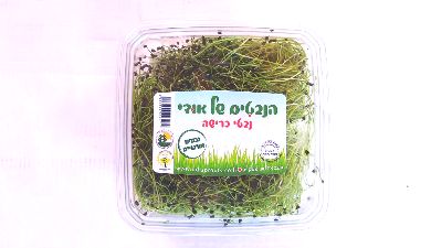 נבטי כרישה
הנבטים של אודי, אורגני