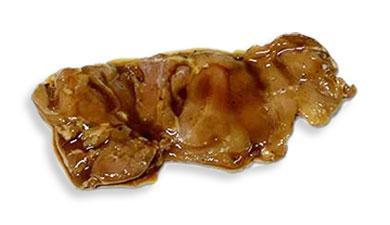 פרגית משופד מטובל, פרימיום