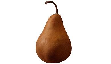 אגס קייזר, אורגני